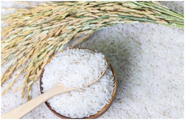Jasmine Rice Nutrition Facts, Health Benefits, Recipe, Side Effects