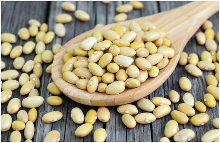 Peruano Beans - Nutrition Facts, Health Benefits, Side Effects, Recipe S