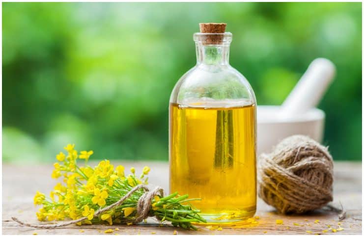 Canola Oil vs Vegetable Oil – Which One Should You Use