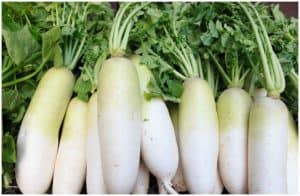 White Radish Leaves – Nutrition Facts, Benefits, Side Effects a