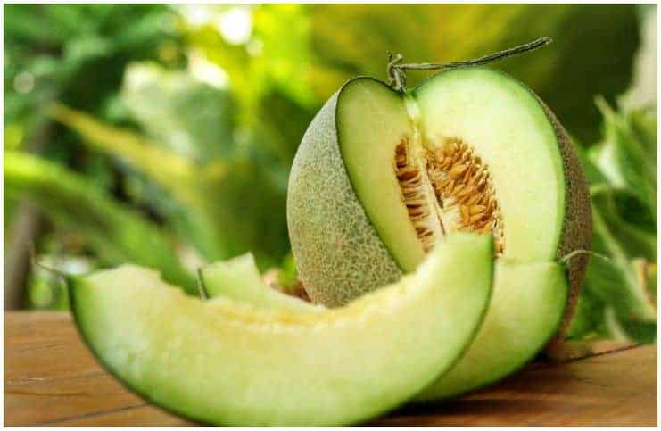 Honeydew vs Cantaloupe – Nutrition Facts, Health Benefits, Side Effects a