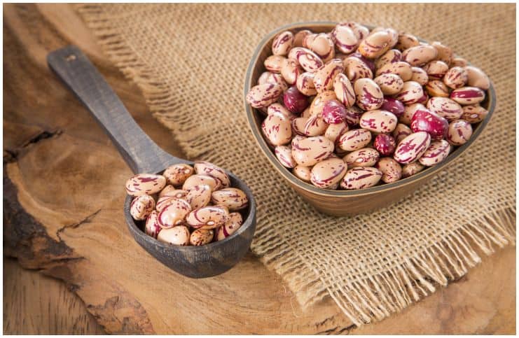 Navy Beans vs Pinto Beans - Nutrition Facts, Health Benefits, Side Effects