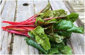 Swiss Chard vs Rhubarb – Nutrition Facts, Health Benefits, Side Effects