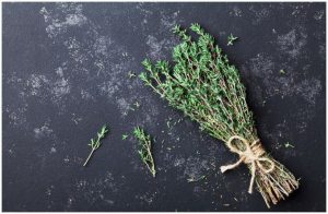 Rosemary vs Thyme - Health Benefits, Nutrition Facts, Side Effects a