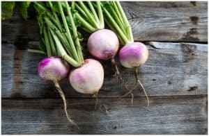 Rutabaga vs Turnip – Nutrition Facts, Health Benefits, Side Effects a