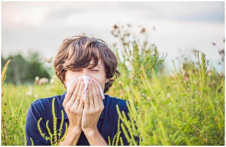 Afrin vs Flonase – Which Is The Best Medicine To Relieve Nasal Congestion a