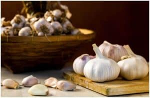 Shallots vs Garlic - Nutrition facts, Health Benefits, Side Effects a