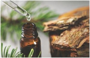 Pine Bark Extract vs Pycnogenol – Compare Differences Between Side Effects & Benefits a
