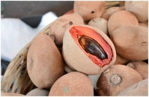 Mamey Sapote Fruit - Health Benefits, Nutrition Facts, Taste, Side Effects