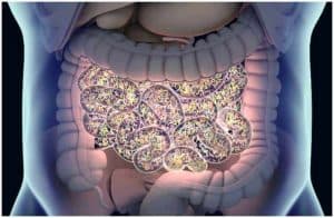 Mesenteric Ischemia vs Ischemic Colitis – Symptoms, Causes, Diagnosis, Treatment, Differences