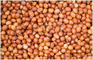 Pigeon Peas - Nutrition Facts, Health Benefits, Substitute, Side Effects a