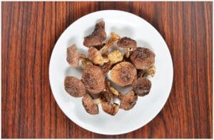 Agaricus Blazei Murill Mushroom (Agaricus Subrufescens) - Health Benefits and Uses