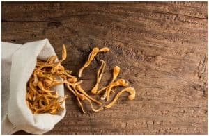 Cordyceps - Tibetan Mushroom (Ophiocordyceps Sinensis) - Facts, Uses, Health Benefits, Side Effects