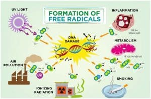 Free Radicals - Dangers (Cancer) & Sources (Smoking)