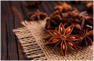 Star Anise (Illicium Verum) - Side Effects, Facts, Health Benefits, Medicinal Uses