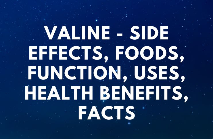 Valine - Side Effects, Foods, Function, Uses, Health Benefits, Facts