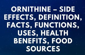Ornithine – Side Effects, Definition, Facts, Functions, Uses, Health Benefits, Food Sources