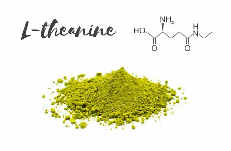 L-Theanine - Side Effects & Health Benefits - Nootropic Supplement For Stress