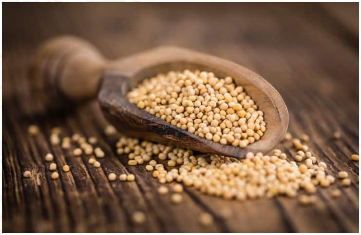 Pickled Mustard Seeds (Black, Brown, Yellow) - Side Effects, Nutrition Facts, Health Benefits