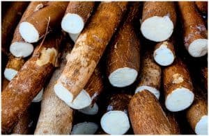 Yucca (Cassava) Root - Side Effects, Nutrition Facts, Uses, Health Benefits