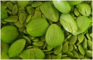 Petai (Parkia speciosa) or Stink Bean - Side Effects, Nutrition Facts, Health Benefits