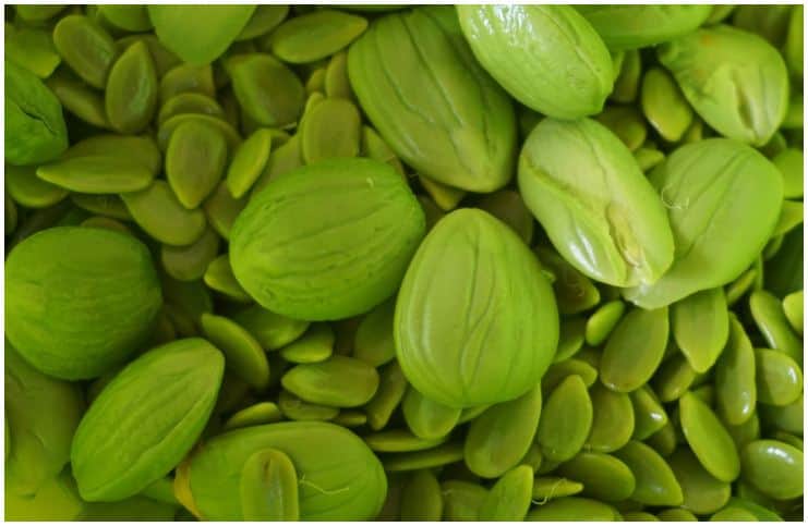 Petai (Parkia speciosa) or Stink Bean - Side Effects, Nutrition Facts, Health Benefits