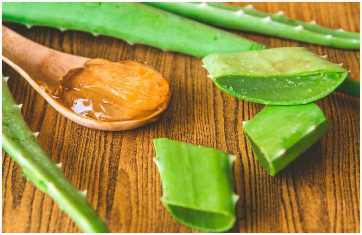 Health Benefits of Aloe Vera Juice For Hair, Skin & Diabetes + Side Effects
