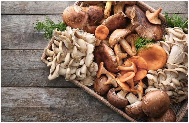 Mushroom Allergy - Symptoms, Causes, Prevention, And Home Remedies Treatment
