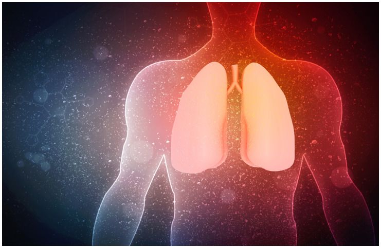 26 Interesting Facts About The Respiratory System and Its Major Organs & Their Functions