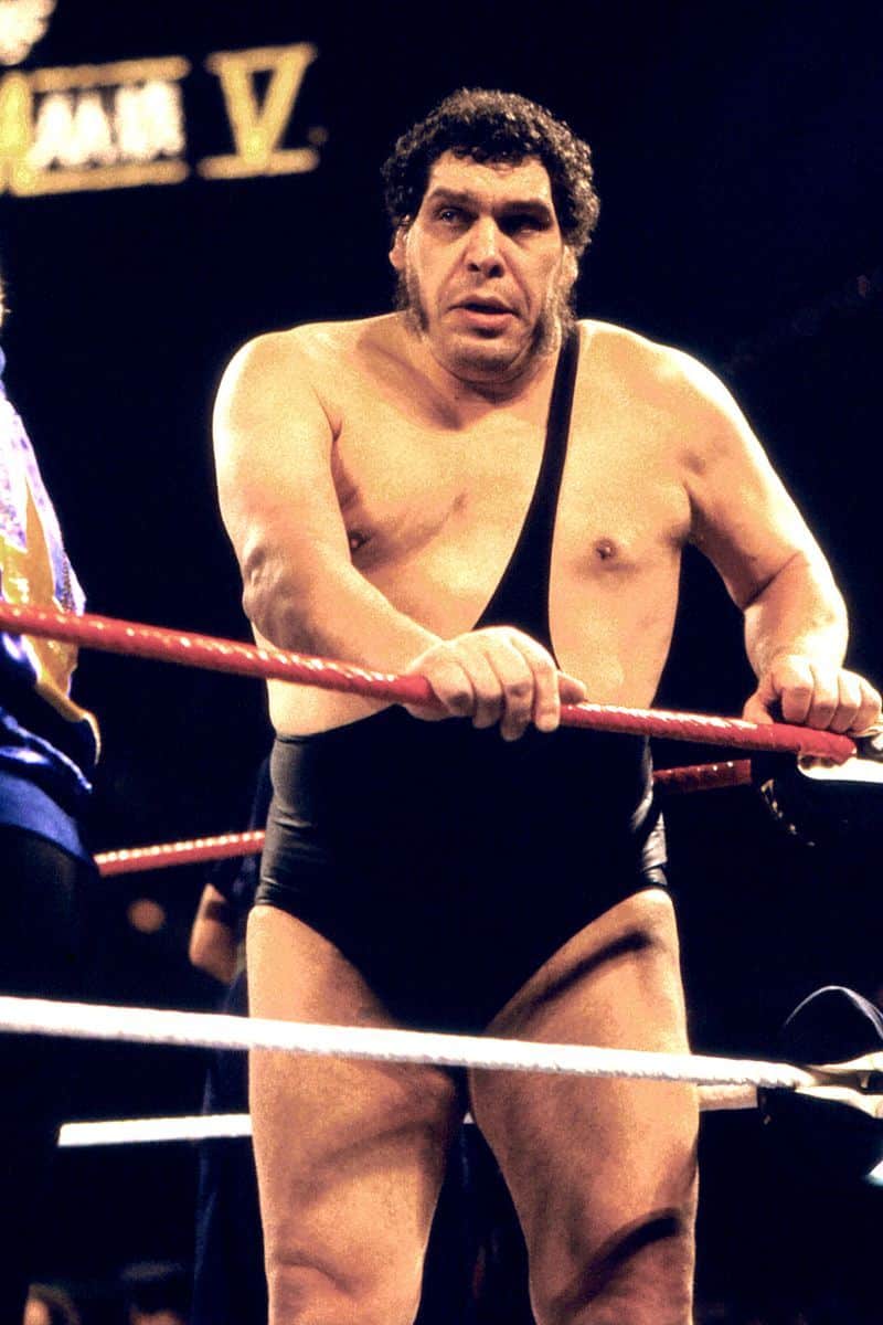André the Giant