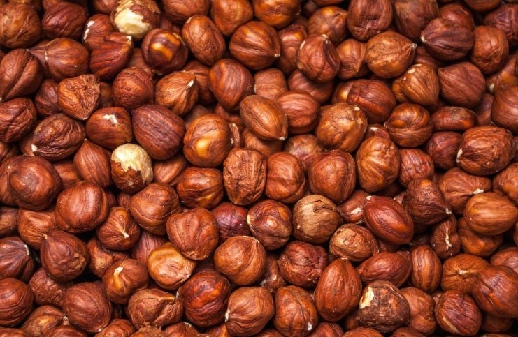 nuts highest in iron https://pixabay.com/photos/hazelnuts-protein-healthy-2715924/