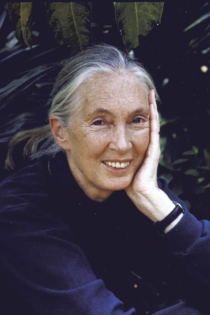 Jane Goodall