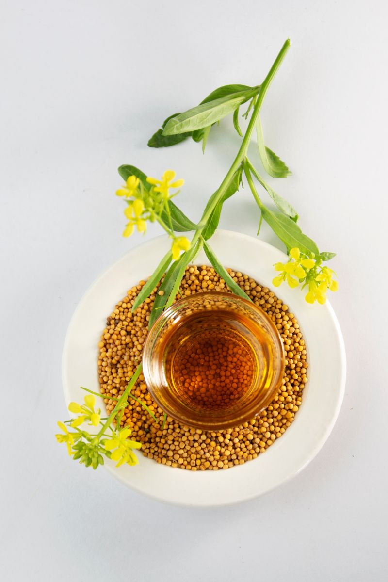 Mustard Oil