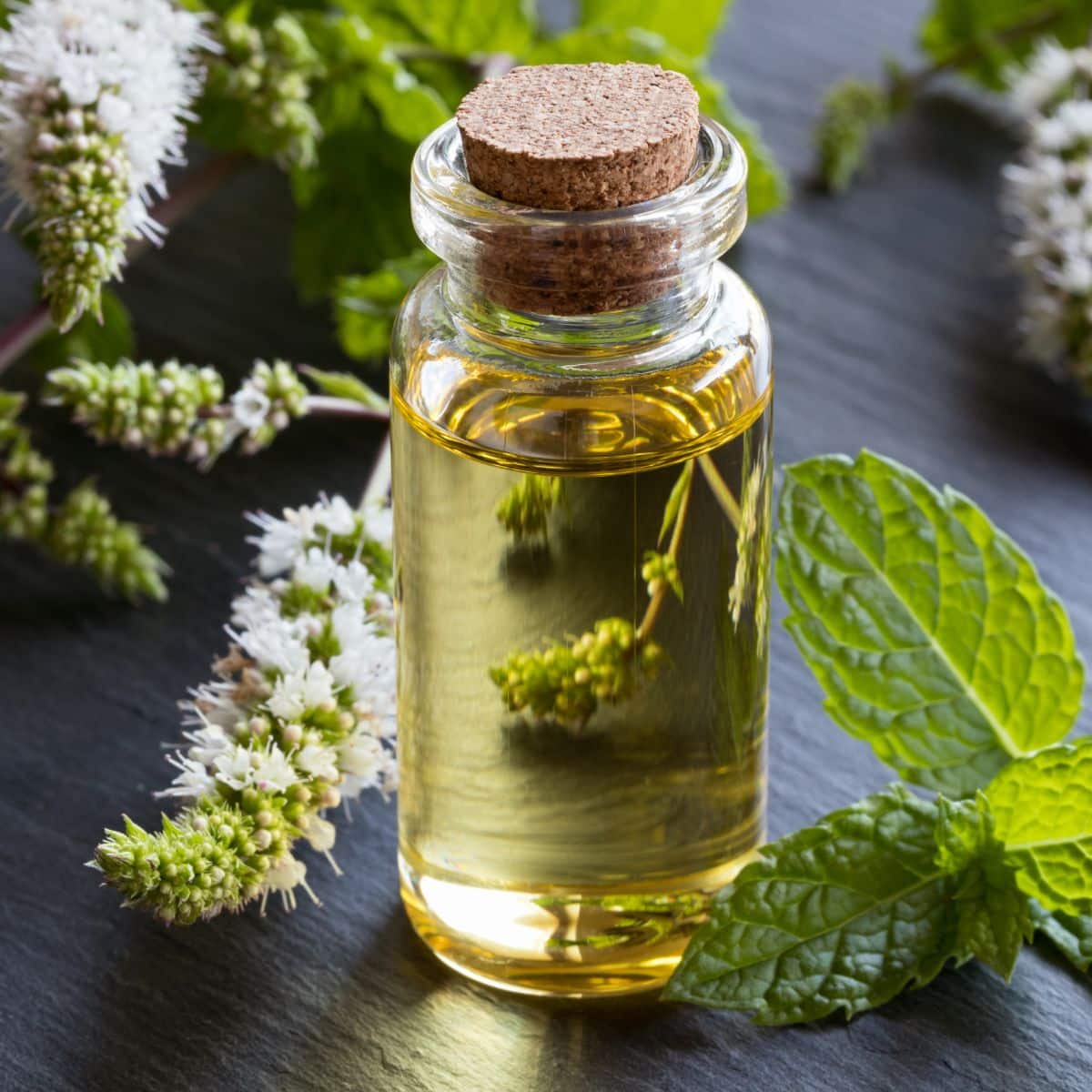17 Essential Oils For Dizziness